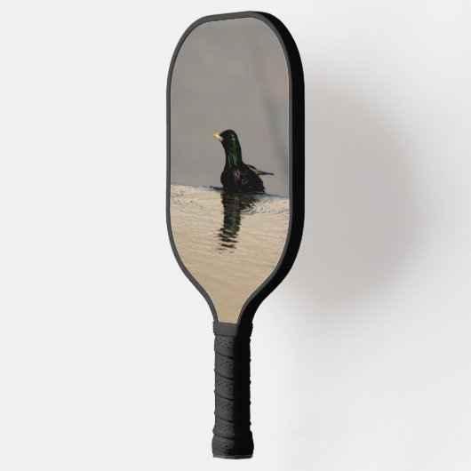Little Bird Pickleball Paddle (Links)