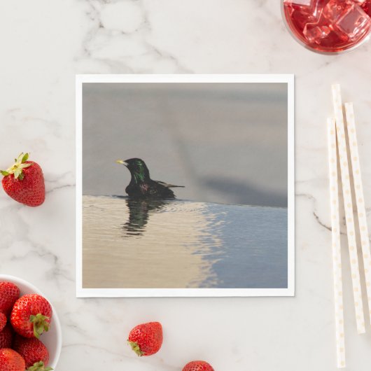 Little Bird Servet (Insitu)