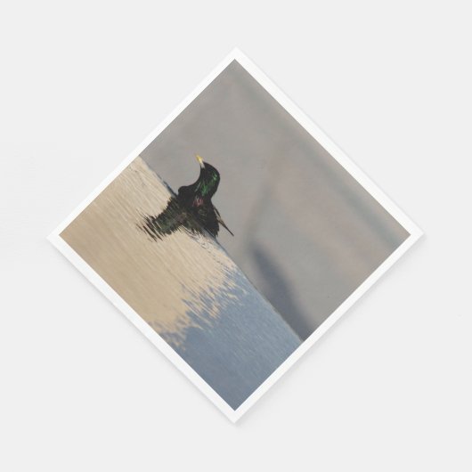 Little Bird Servet (Hoek)