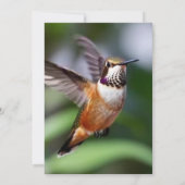 Little bird typography custom kaart (Achterkant)