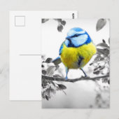Little Bird zwart-wit Afbeelding Briefkaart (Voorkant / Achterkant)