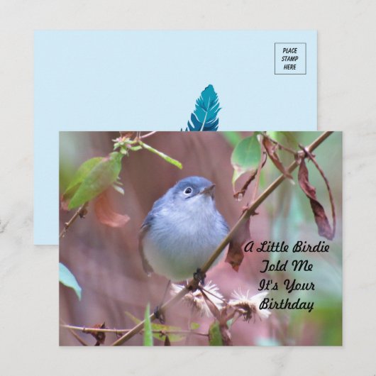 Little Birdie Birthday Briefkaart (Voorkant / Achterkant)