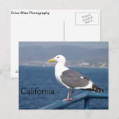 Little Birdy Briefkaart (Voorkant / Achterkant)