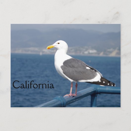 Little Birdy Briefkaart (Voorkant)