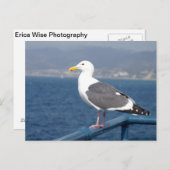 Little Birdy Briefkaart (Voorkant / Achterkant)