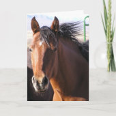 Little Bit Kaart (Voorkant)