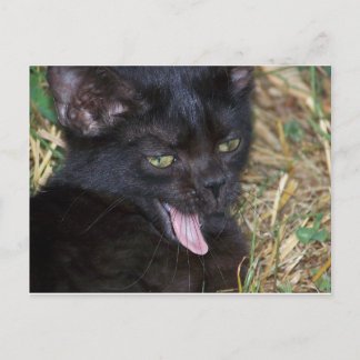 Little Bitt Briefkaart