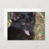 Little Bitt Briefkaart (Voorkant / Achterkant)