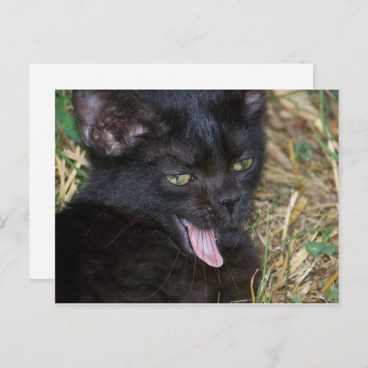 Little Bitt Briefkaart (Voorkant / Achterkant)