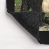 Little Black Beltie Calf Muismat (Hoek)