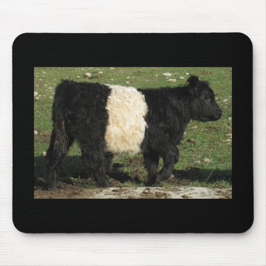 Little Black Beltie Calf Muismat (Voorkant)