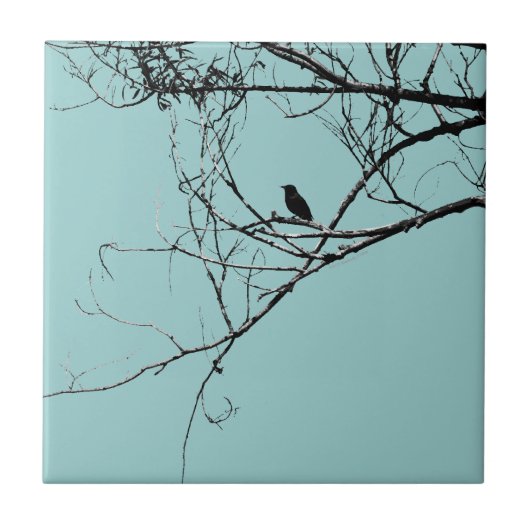 Little Black Bird Tile Tegeltje (Voorkant)