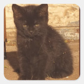Little Black Kitten Stickers (Voorkant)