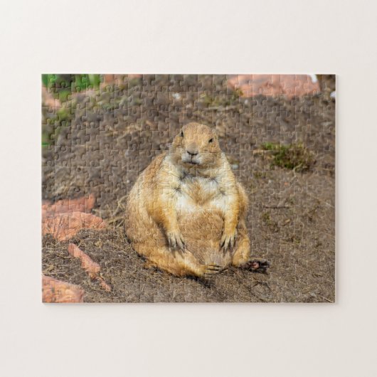 Little Black-Tailed Prairie Dog Jigsaw puzzel (Horizontaal)