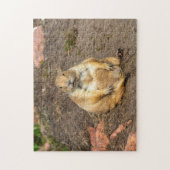 Little Black-Tailed Prairie Dog Jigsaw puzzel (Verticaal)