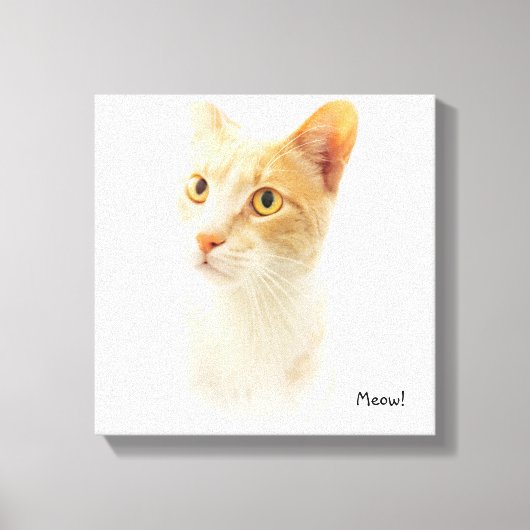 Little Blondie Cat Wondering Canvas Afdruk (Voorkant)