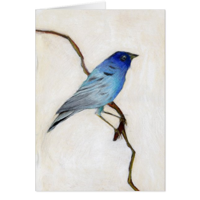 Little Blue 2012 (Voorkant)