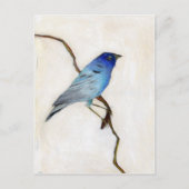 Little Blue 2012 Briefkaart (Voorkant)