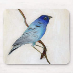 Little Blue 2012 Muismat