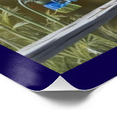 Little Blue Bird Glossy Poster (Hoek)