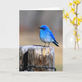 Little Blue Bird of Happiness wenskaart Kaart (Gele Bloem)