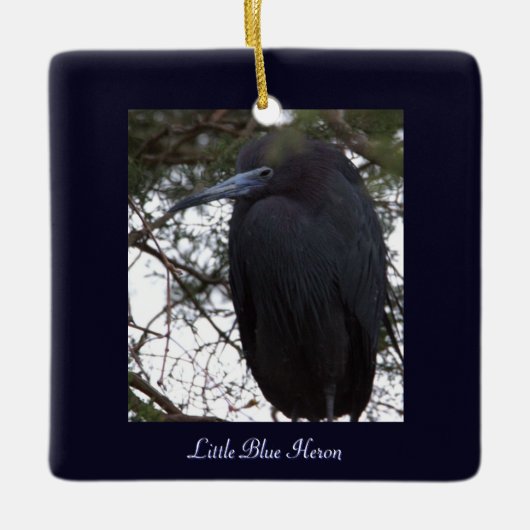Little Blue Heron Bird Ornament (Voorkant)