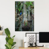 Little Blue Heron in Cypress Swamp Poster (Thuiskantoor)