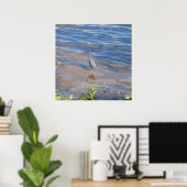Little Blue Heron Poster (Thuiskantoor)