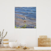 Little Blue Heron Poster (Keuken)