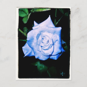 Little Blue Princess Briefkaart