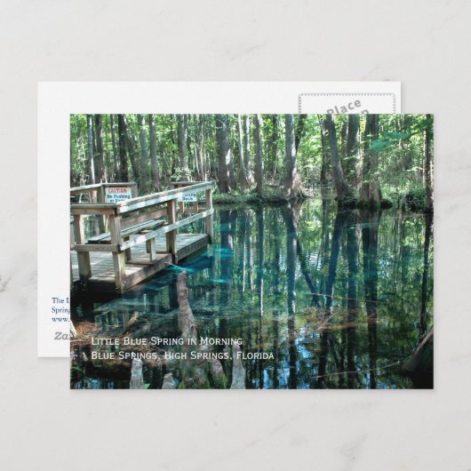 Little Blue Spring Briefkaart (Voorkant / Achterkant)