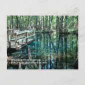 Little Blue Spring Briefkaart (Voorkant)