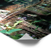 Little Blue Spring Pool Print (Hoek)