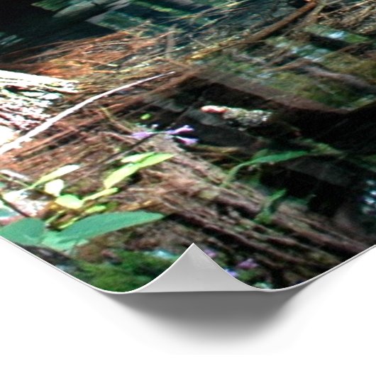 Little Blue Spring Pool Print (Hoek)