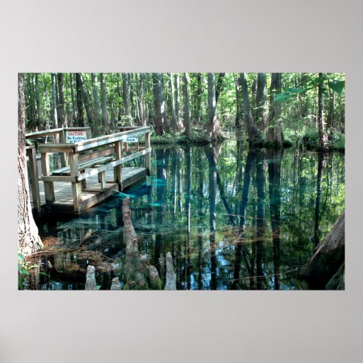 Little Blue Spring Pool Print (Voorkant)