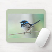 Little Blue Wren (Superb fairwren) Australië Muismat (Met muis)