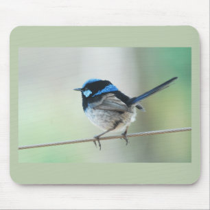 Little Blue Wren (Superb fairwren) Australië Muismat