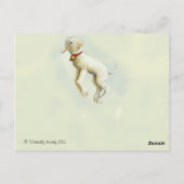 Little Bo Peep Briefkaart (Achterkant)