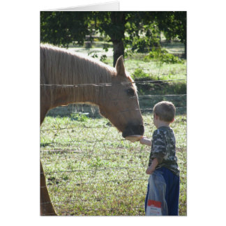 Little Boy Feeding Horse