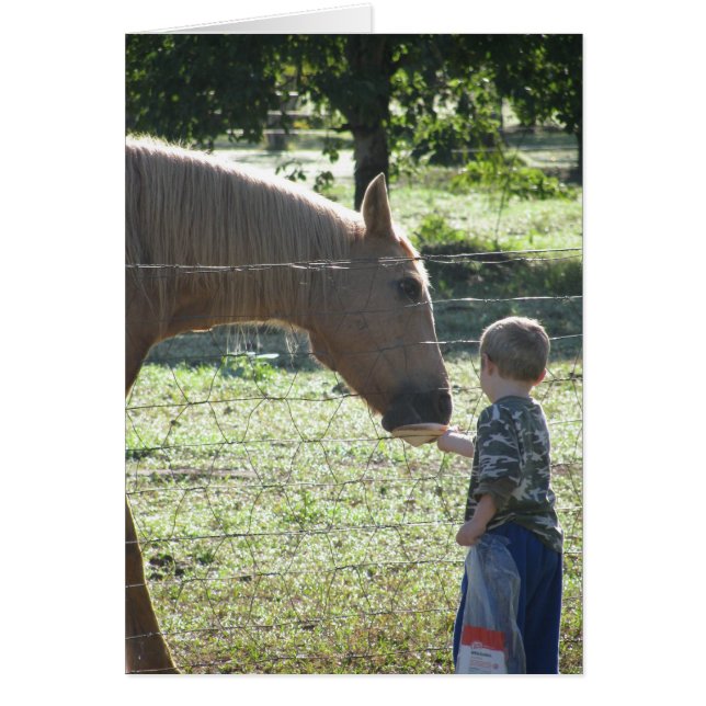 Little Boy Feeding Horse (Voorkant)