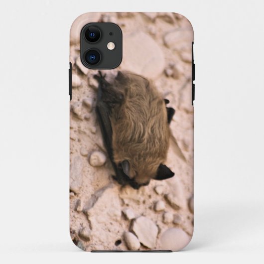 Little Brown Bat Case-Mate iPhone Case (Achterkant)