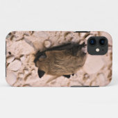 Little Brown Bat Case-Mate iPhone Case (Achterkant (horizontaal))