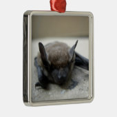 Little brown bat (Myotis lucifugus) Metalen Ornament (Rechts)