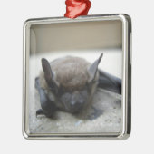 Little brown bat (Myotis lucifugus) Metalen Ornament (Links)