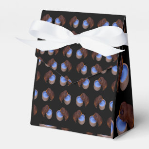 Little Brown Guinee Pig, Birthday Favor Box Bedankdoosjes