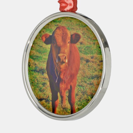 Little Brown Koe Bright Green Grass Metalen Ornament (Links)