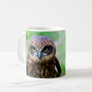 Little Brown Owl Mok