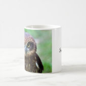 Little Brown Owl Mok (Center)