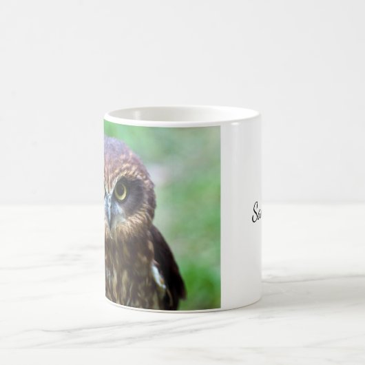 Little Brown Owl Mok (Center)