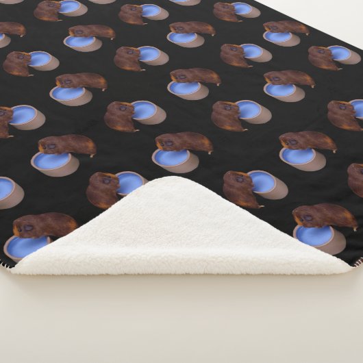 Little Brown Smooth Haire Guinee Pig Sherpa Deken (3/4)